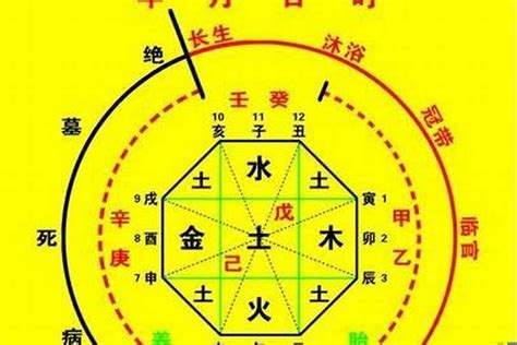 八字表格|生辰八字算命、五行喜用神查詢（免費測算）